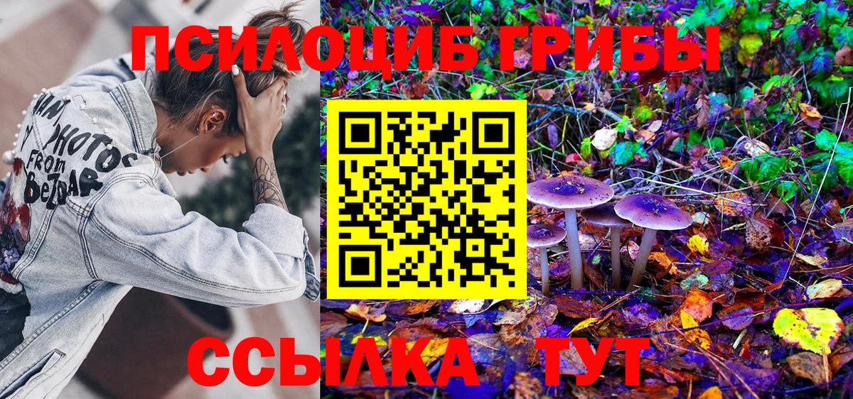 Галлюциногенные грибы Cubensis Добрянка