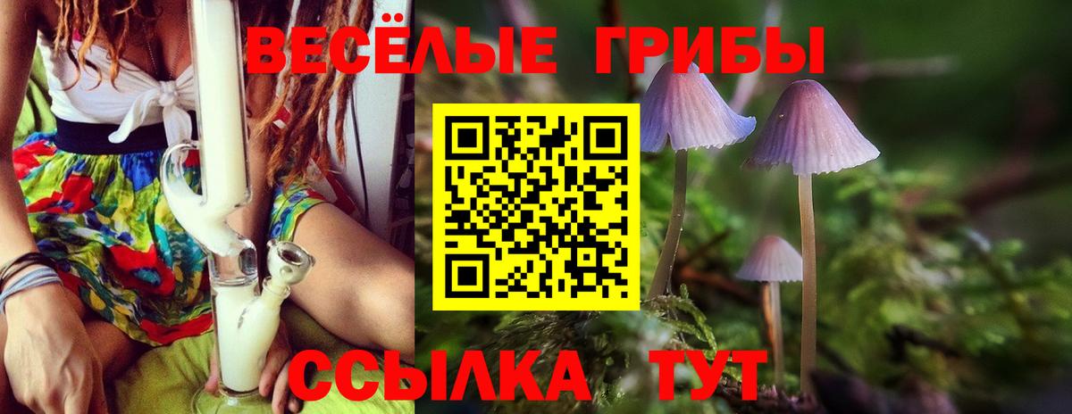 Галлюциногенные грибы Psilocybe  Вход с VPN  Добрянка  купить наркотик  Псилоцибиновые грибы Cubensis 