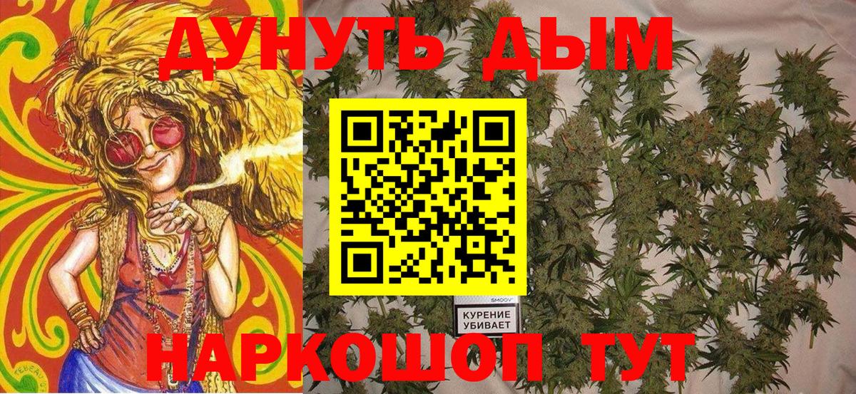 Бошки марихуана планчик  Канабис семена  Вход с VPN  Канабис индика  Добрянка 